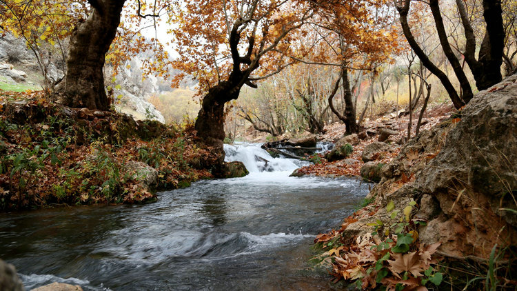 水環(huán)境